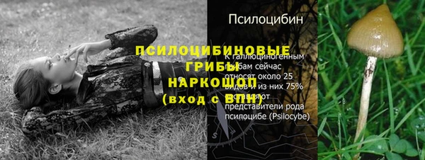 таблы Белокуриха