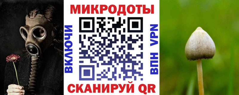 Галлюциногенные грибы прущие грибы  закладка  Власиха 